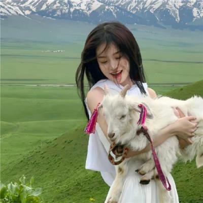 我的天才女友第二季